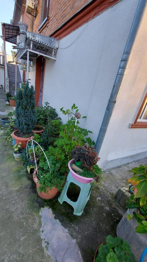 Boutique Hotel Pʼotʼi エクステリア 写真